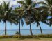 palmy na Wyspach Cooka