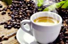 Najdroższa kawa świata? Najdroższe kawy i herbaty