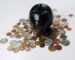 Czarna skarbonka w kształcie świnki, obok monety